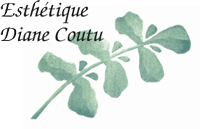 logo Esthétique Diane Coutu